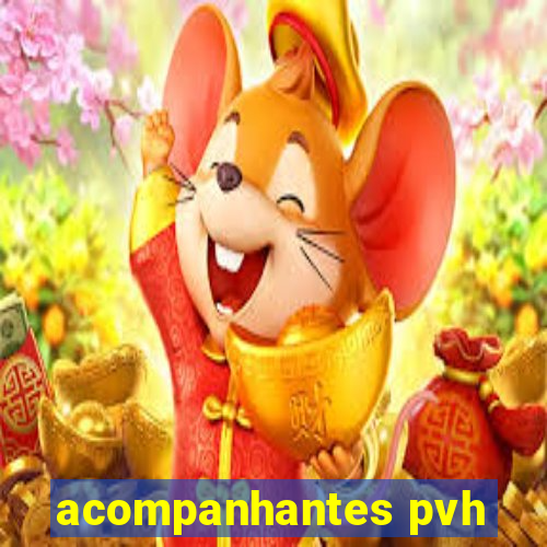 acompanhantes pvh